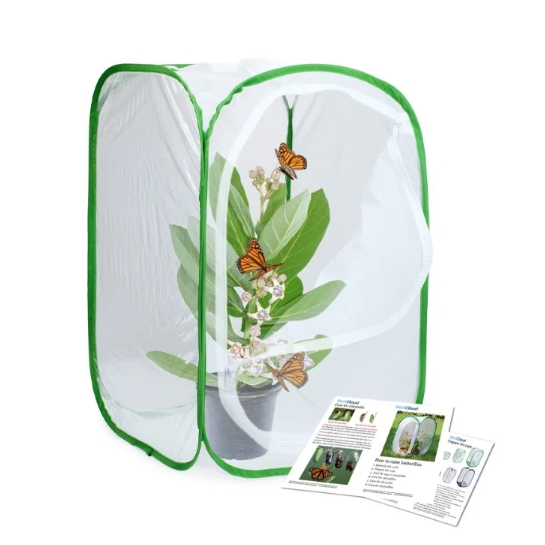 40x40x60cm 망사 채집통 곤충 사육 케이지 나비 접이식 통 채집 나비 메뚜기 꿀벌 - 상품 이미지