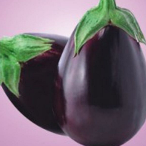 텃밭용 가지 씨앗 가정용 가지 씨앗 야채 채소 미니 종자 보라 품종 - 상품 이미지