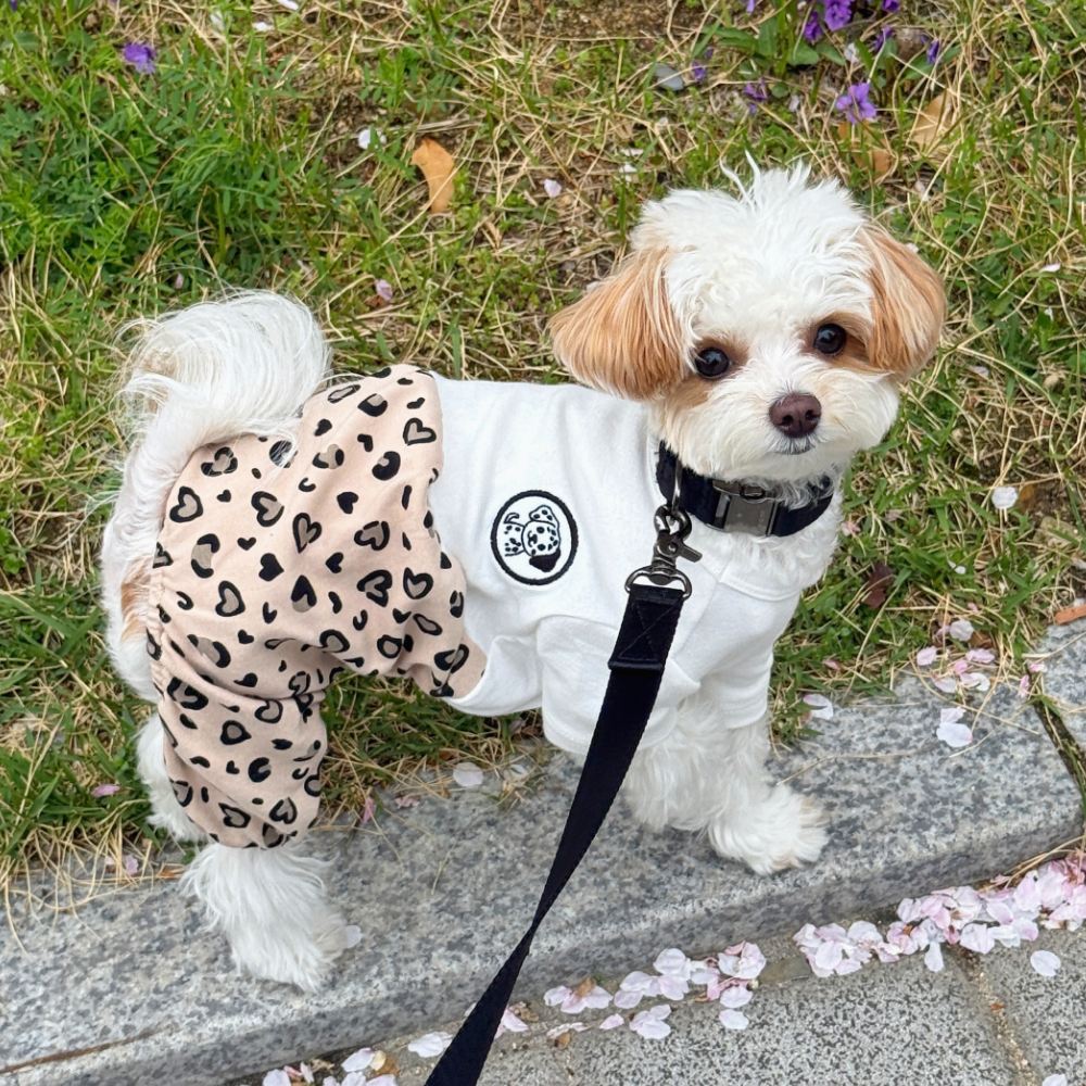 뚜담펫 레오파드 벌룬핏 올인원 강아지 몸빼바지 - 상세 이미지 4