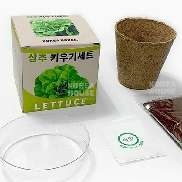 베란다 채소 키우기 실내 상추 재배 텃밭 키트 세트 식물 배양토 초보자 교육용 씨앗 화분 - 상품 이미지