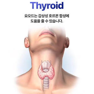 나프라우드 요오드 BC 컴플렉스 갑상선 영양제 많은 미역 음식 종류 육체... 맛있게 먹은 솔직 후기 - 상품 이미지 4