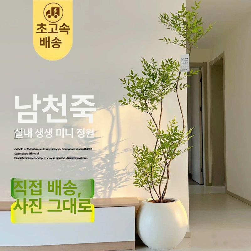 인조 화분 식물 조경용 실내장식 부쉬 조화 그린테리어 공기정화 - 상세 이미지 2