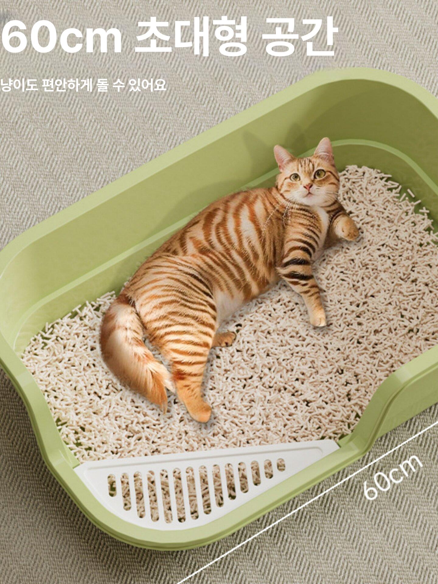 고양이 화장실 낮은 실내 입구 새끼 모래 소변 개방형 레몬옐로우 49cm 대형 - 상세 이미지 2