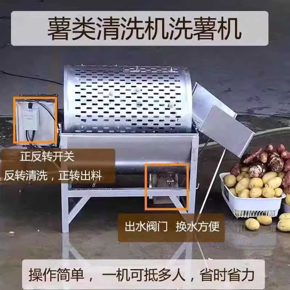 구근류 세척기 인삼 감자 무 흙 제거 스텐 세정 기계 - 상세 이미지 4