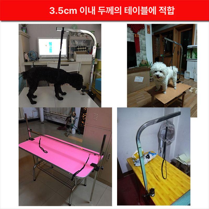 미용 테이블 강아지 목줄 거치대 애견용 고정브라켓 스탠드 반려동물 그루밍 - 상세 이미지 4