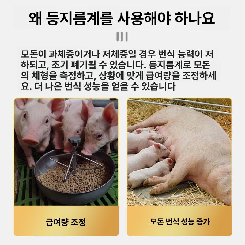 지방 측정기 돼지등 비계테스터 체크기 농장용 휴대용 돼지 뱃살 측정 - 상세 이미지 5