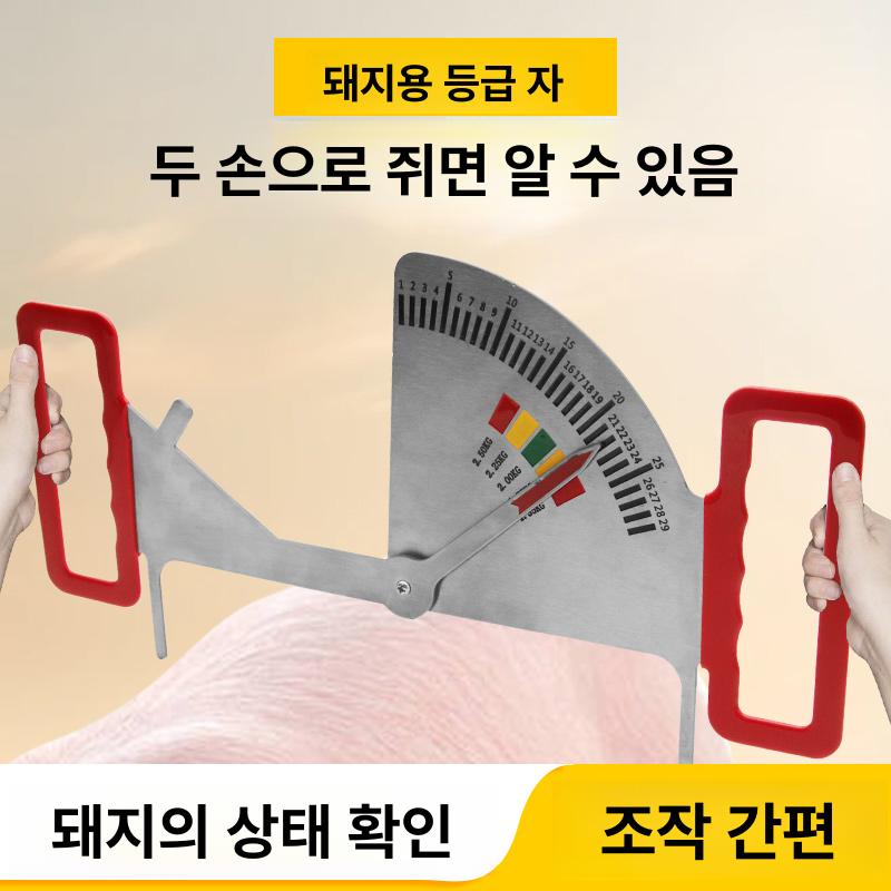 지방 측정기 돼지등 비계테스터 체크기 농장용 휴대용 돼지 뱃살 측정 - 상세 이미지 2