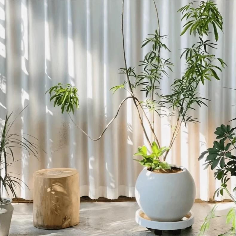 세라믹 화분 달항아리 거실 대형 수제 도자기 엔틱 심플 토분 화이트 플랜테리어 인테리어 - 상세 이미지 4