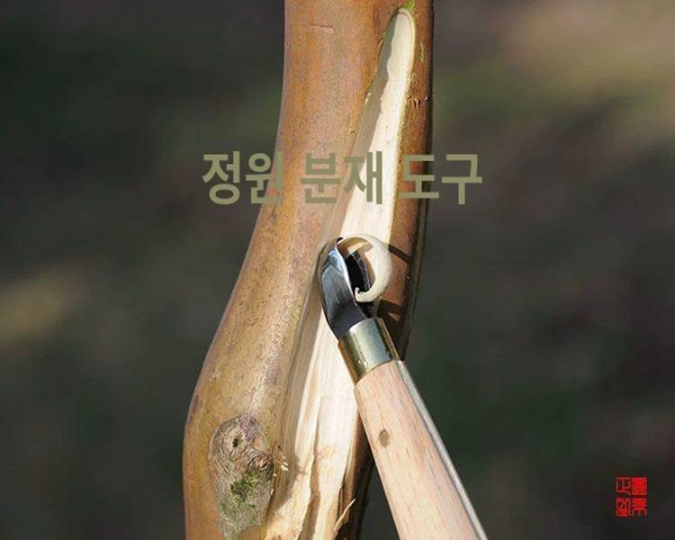 조각칼 분재가위 정원 전정 접목칼 나이프 강철 가지치기 조경용 원예도구 - 상세 이미지 4