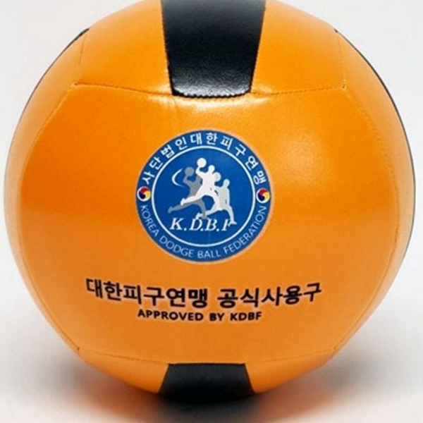 소프트 피구공 훈련용 학교 체육공 레크레이션 스포츠 안전 실내 - 상품 이미지