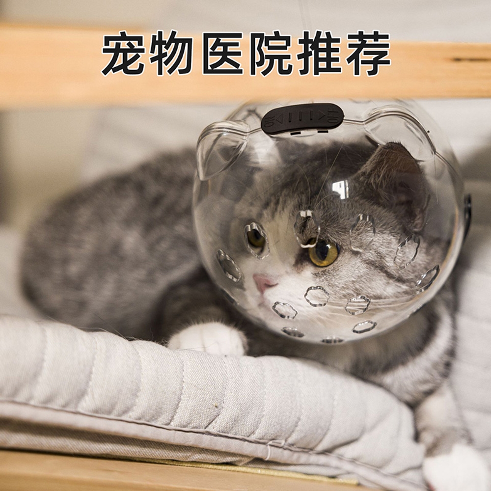 고양이 물림방지 미용 보호캡 발톱 마스크 방지 모자 헬멧 목욕 머리 입마개 손톱 기본(3-6캐티) - 상세 이미지 3