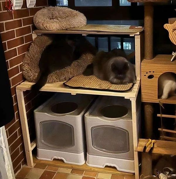 캐비닛 선반 고양이 2층 화장실수납장 계단형 보관함 스탠딩 다단 - 상세 이미지 4