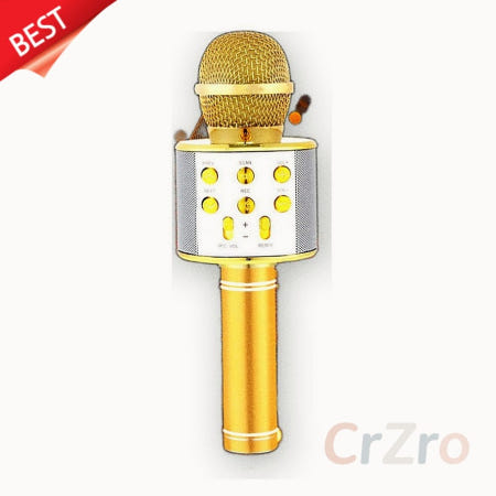 액센 플레이고 블루투스 마이크 P151 무선 노래방 어린이 장난감 완구 1개