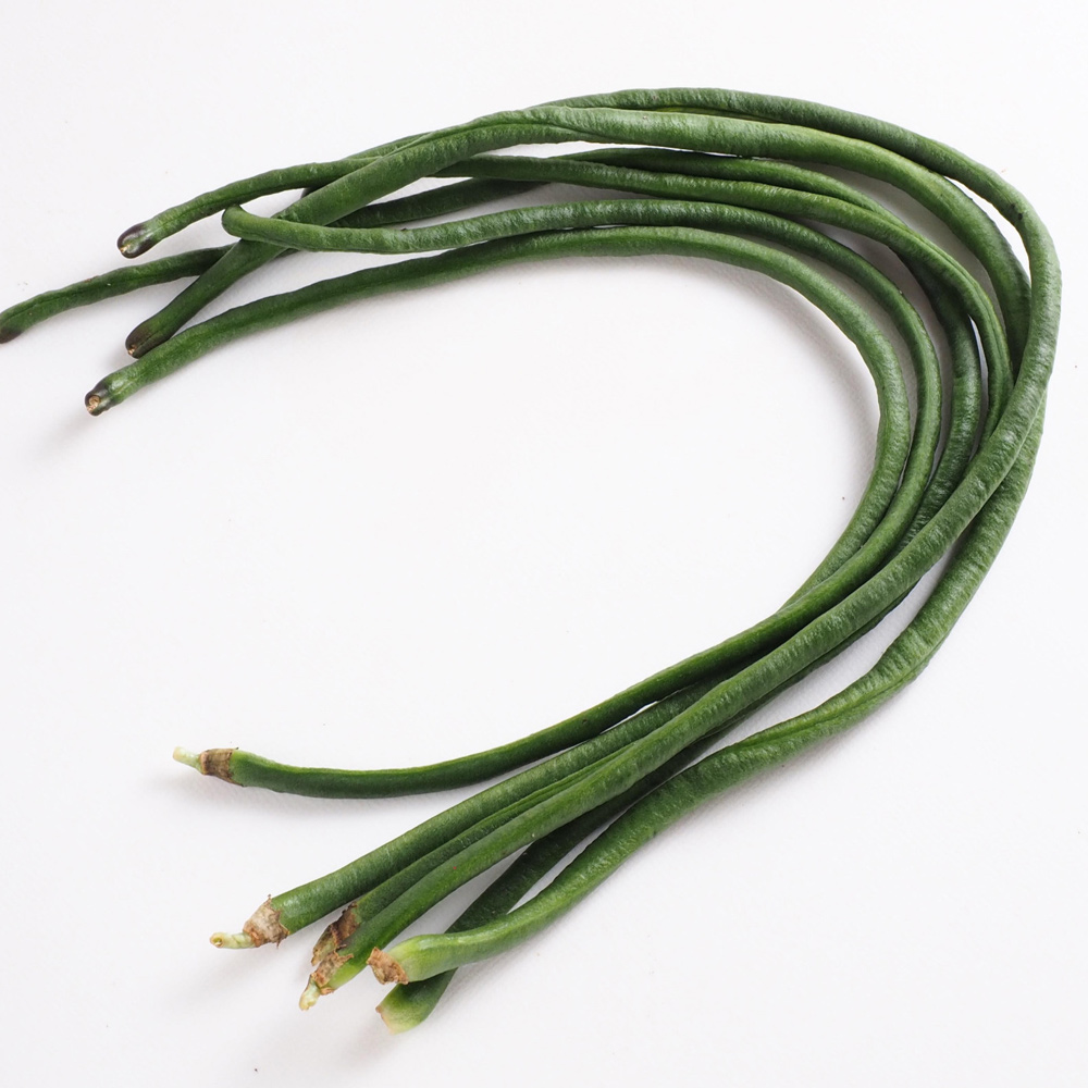 당일수확 줄콩 롱빈 500g 1kg 줄기콩 동남아 식재료 이미지 3