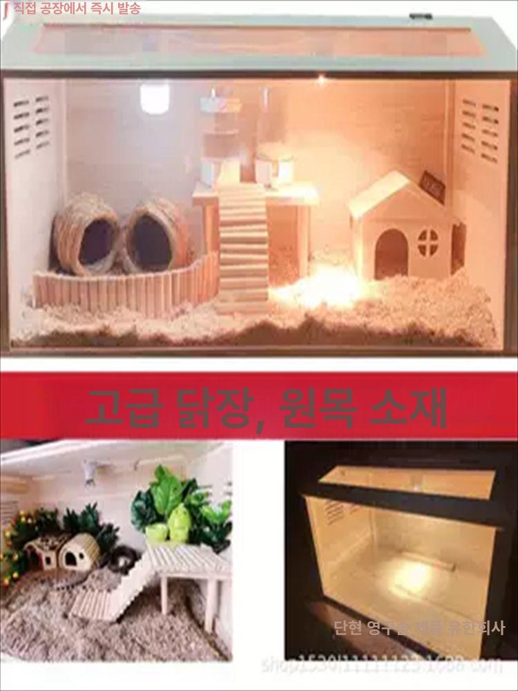 골든 햄스터케이지 리빙박스 아크릴 사육장 투명 하우스 소동물 펫용품 놀이공간 - 상세 이미지 4