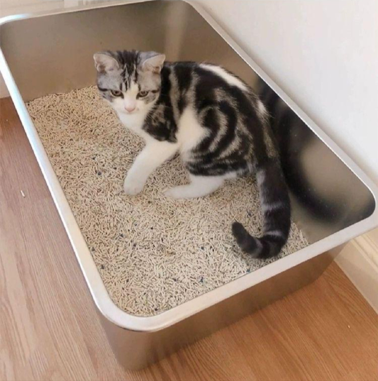 고양이 스텐 화장실 뚱냥이 특 오픈형 중형 대형 평저 사각 32x22x7cm 고급형 내구성 - 상품 이미지