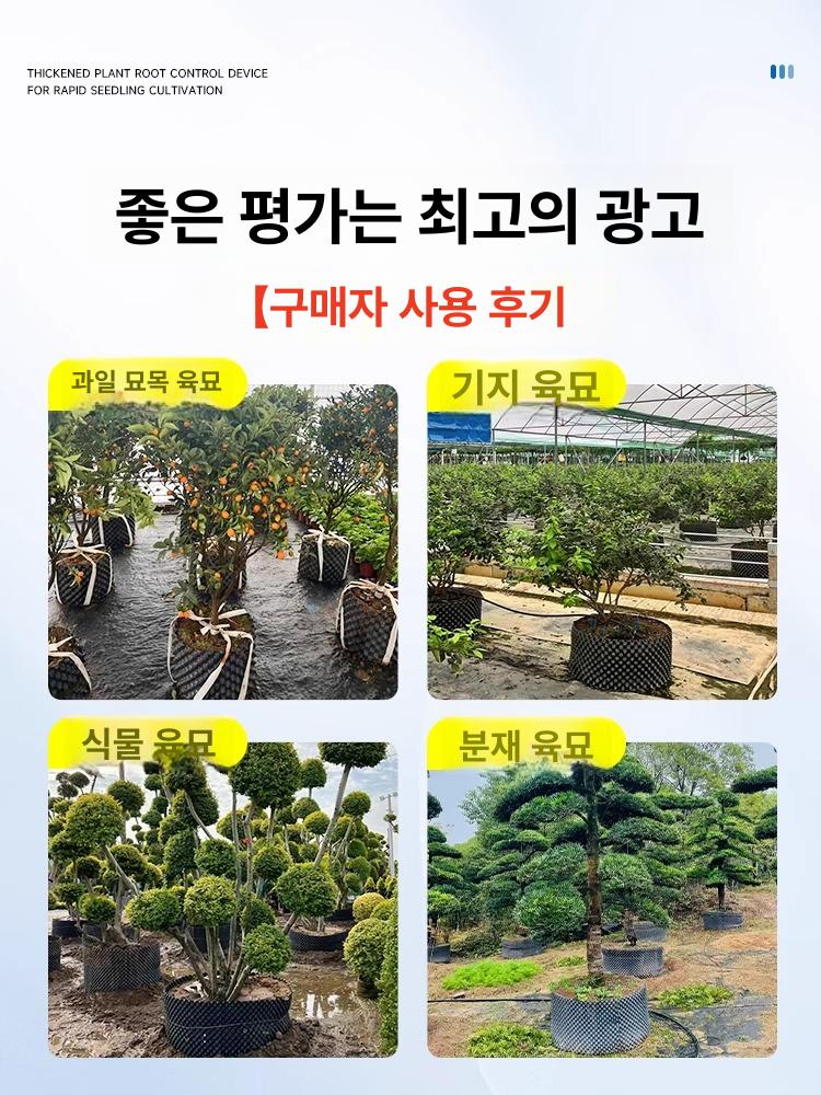 매직화분 50m 대형 배수판 플라스틱 매트 요술화분 조경용 분갈이 나무 화분받침 - 상세 이미지 5