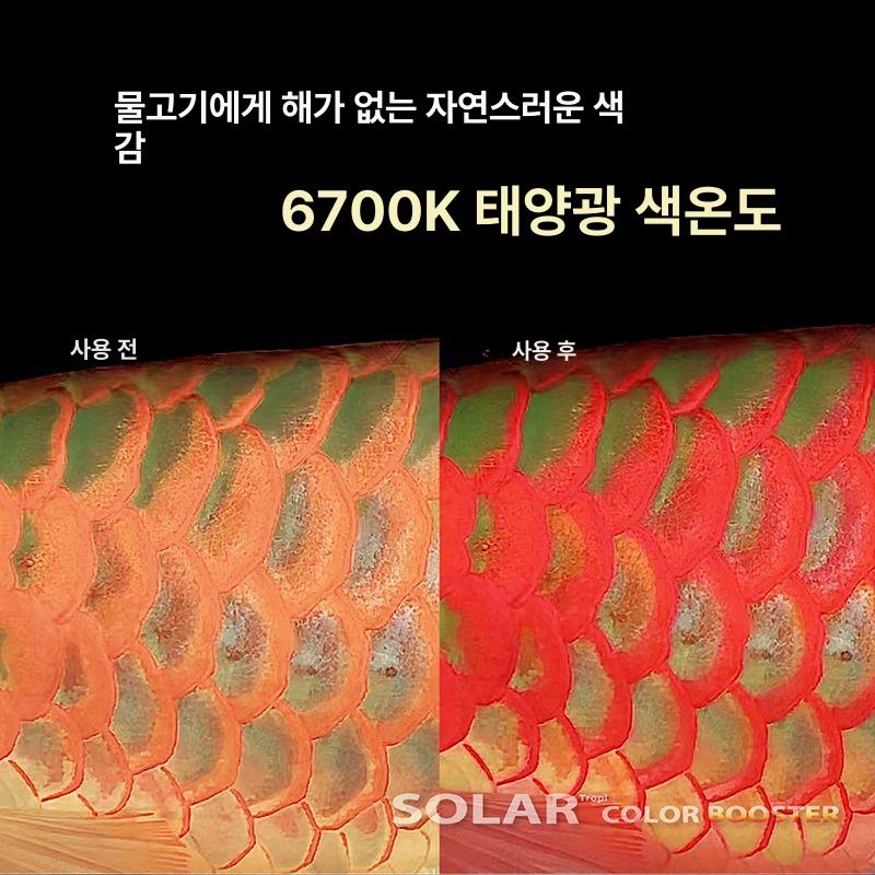 열대어 어항등 홍용 LED조명 스팟라이트 붉은색 미니 수조전용 원형 메탈 표준형 - 상세 이미지 5