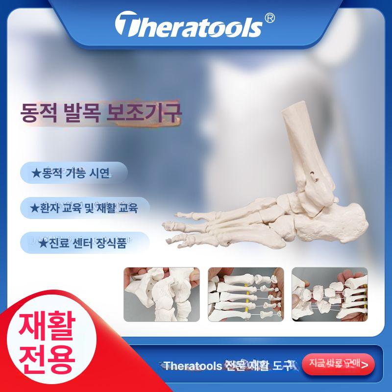 의학 뼈모형 발 교육용 해부학 교구 족골 정형외과 인체모델 - 상세 이미지 2