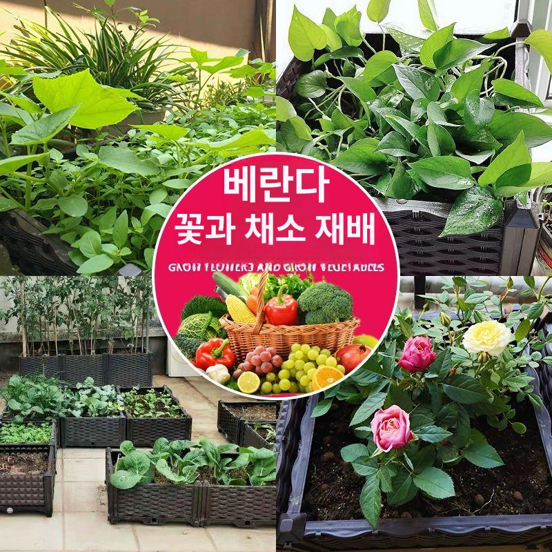 라탄 플랜트박스 텃밭화분 상자 대형 단층 정상형 안뜰 베란다 실내 텃밭상자 - 상세 이미지 2