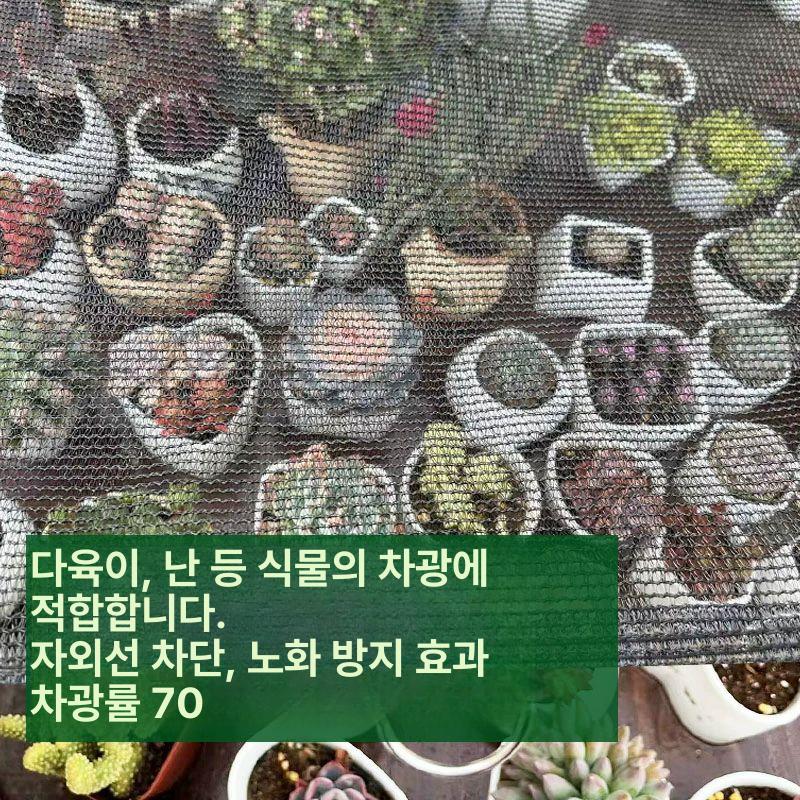 가정용 비닐하우스 조립식 소형 식물 다육이 온실 루프탑 원예 화분 - 상세 이미지 5