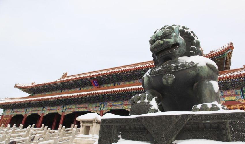 상품 이미지 9