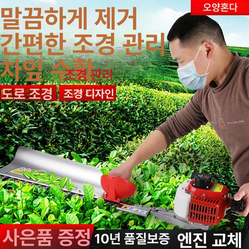 가지치기 제거기 순 나무 적심기 콩순 트리머 조경 정원 전지가위 원예 도구 - 상세 이미지 3