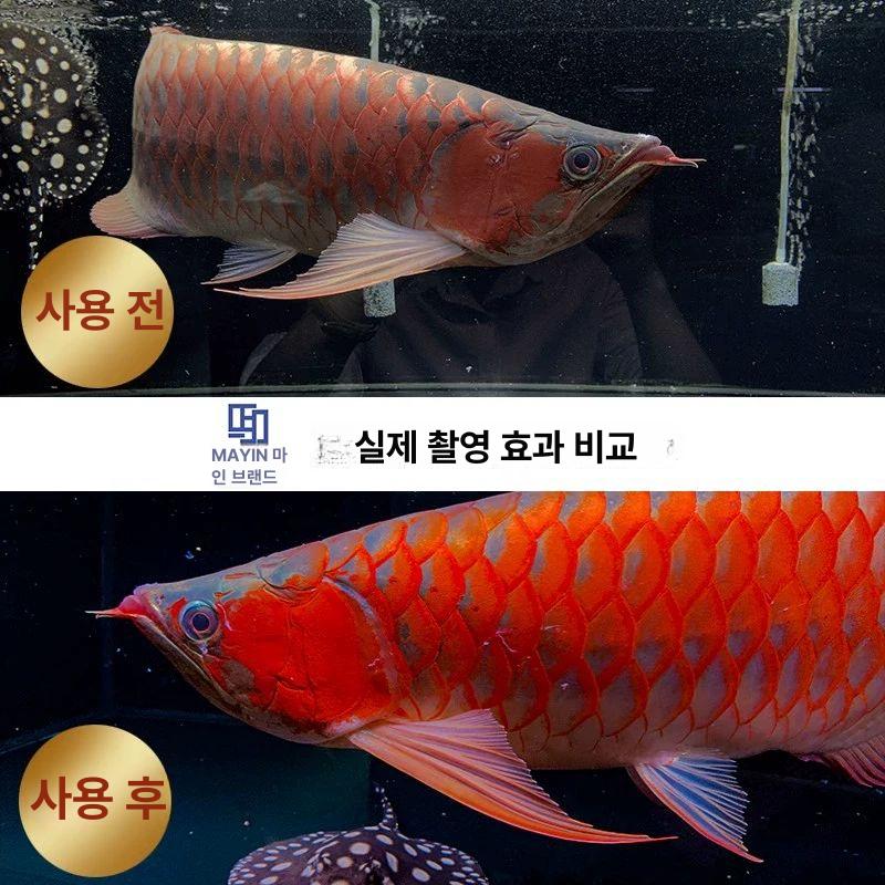 관상등 수족관 열대어 LED 조명 어항 수조 수초 실내 아쿠아리움 라이트 - 상세 이미지 4