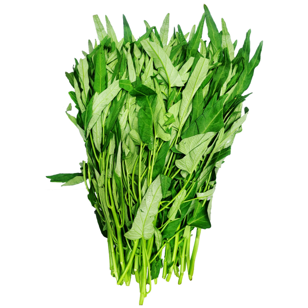 공심채 모닝글로리 1kg 동남아야채 채소 당일수확 bao thecbe / rau muong - 상세 이미지 3