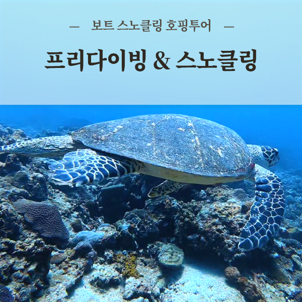 코타키나발루 다이빙 프리다이빙 스노클링 보트 호핑투어 + 마무틱 섬 체험 투어 - 상품 이미지