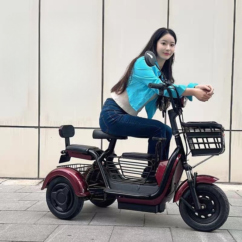 세발 전기 스쿠터 고용량 리튬 배터리 강력 모터 2인승 어르신 성인용 전동차 대용량 앞뒤 - 상세 이미지 3