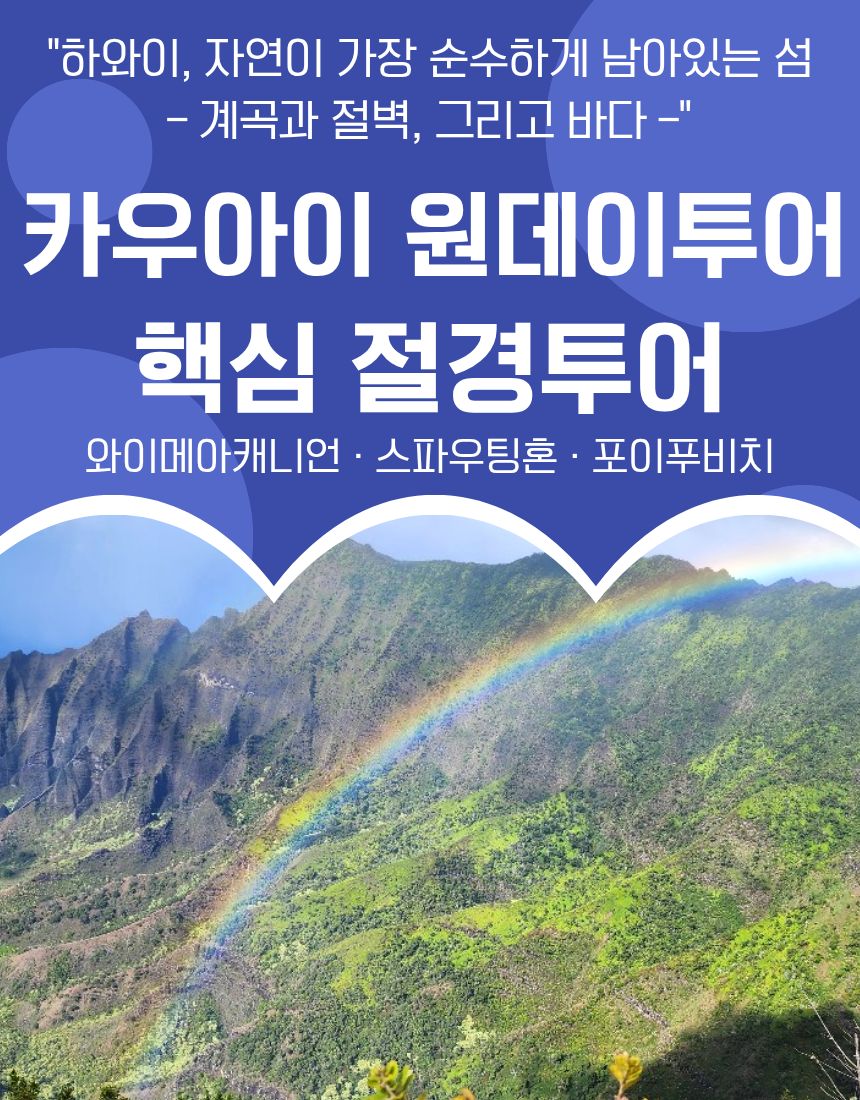 하와이 카우아이 원데이 투어 핵심 절경 투어 와이메아캐니언 스파우팅혼 포이푸비치 - 상품 이미지