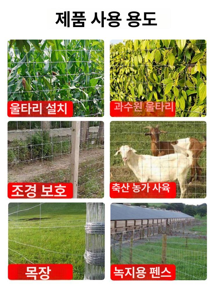 양계장 철망울타리 철조망 아연망 고라니 염소 펜스 방범 기둥 과수원 그물망 메쉬 안전망 - 상세 이미지 3