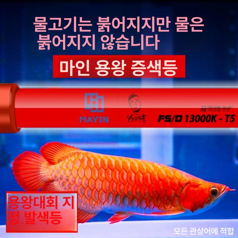 관상등 수족관 열대어 LED 조명 어항 수조 수초 실내 아쿠아리움 라이트 - 상세 이미지 3