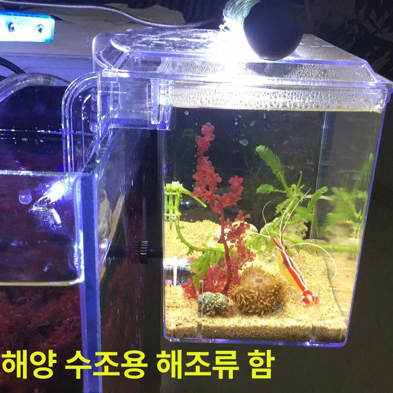 열대어 수족관 벽걸이 격리 미니 안티 튜브 용품 아크릴 홀더 투명 클립 - 상세 이미지 4