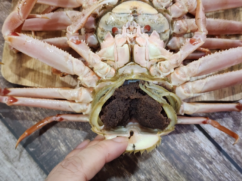 북해도 대게 박달 자숙 제철 수율보장 암빵게 알베기 이미지 7