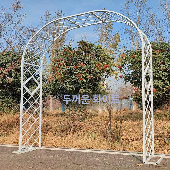 식물 지지대 장미 울타리 철제 담장 포도나무 덩굴 넝쿨 지주 서포트 가든 - 상세 이미지 5