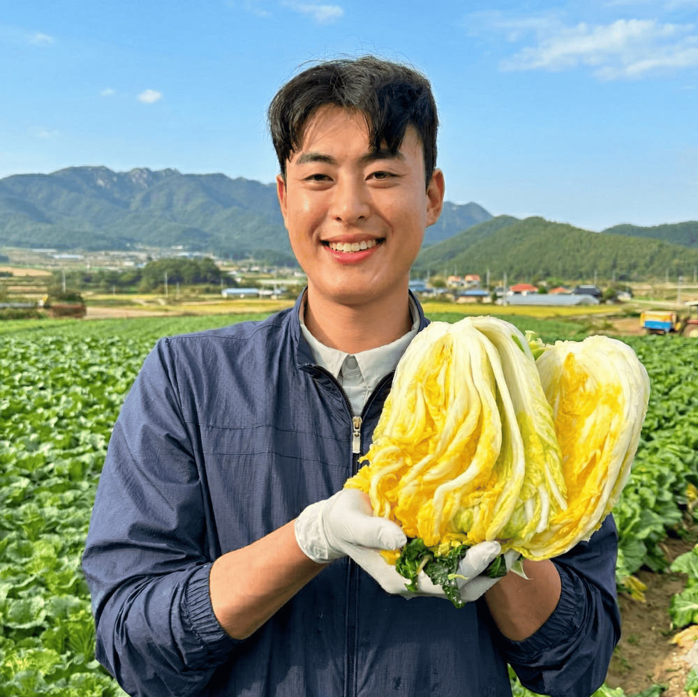 26년 절임배추 20kg 해남 땅끝마을 김장 절인배추 전라도 해풍 신선한 최상급 고품질 : 해가온