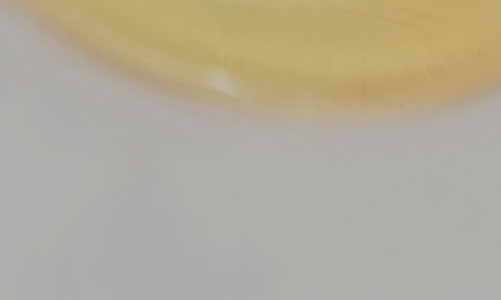 ampoule concentrée houttuynia rouge coréen