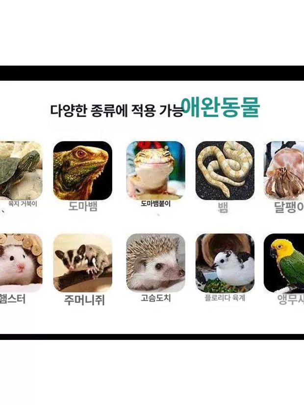 도마뱀 온습도조절 파충류 테라리움 사육장 스마트 전문 하우스 - 상세 이미지 4