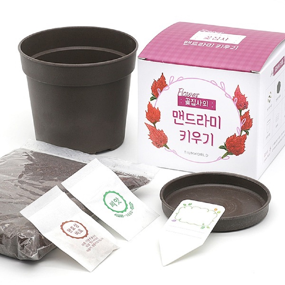 틔움 세상 화분 재배 키트 꽃집사 시리즈 식물 키우기 채소밭 텃밭 미니 정원 아파트 - 상품 이미지