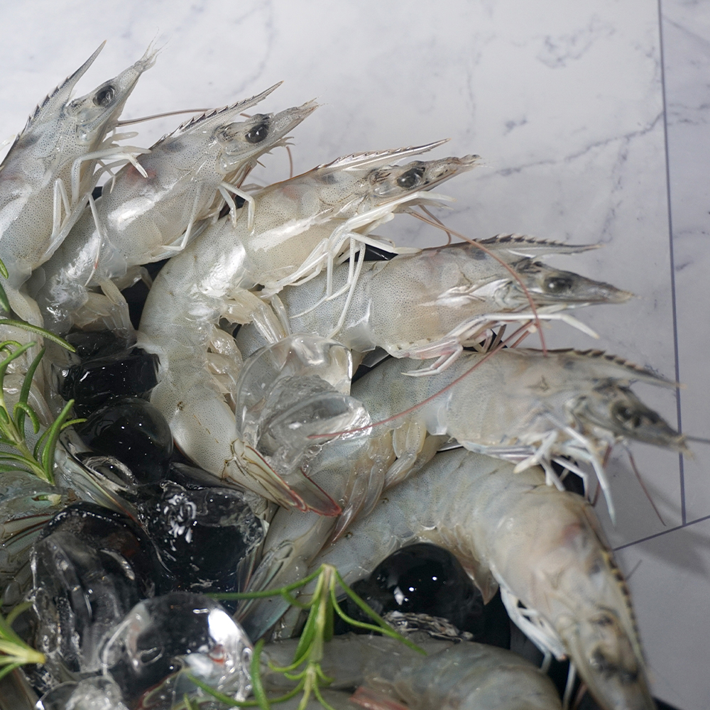 [신안직송] 탱글탱글한 무항생제  양식대하 500g (17미 내외) - 상세 이미지 3