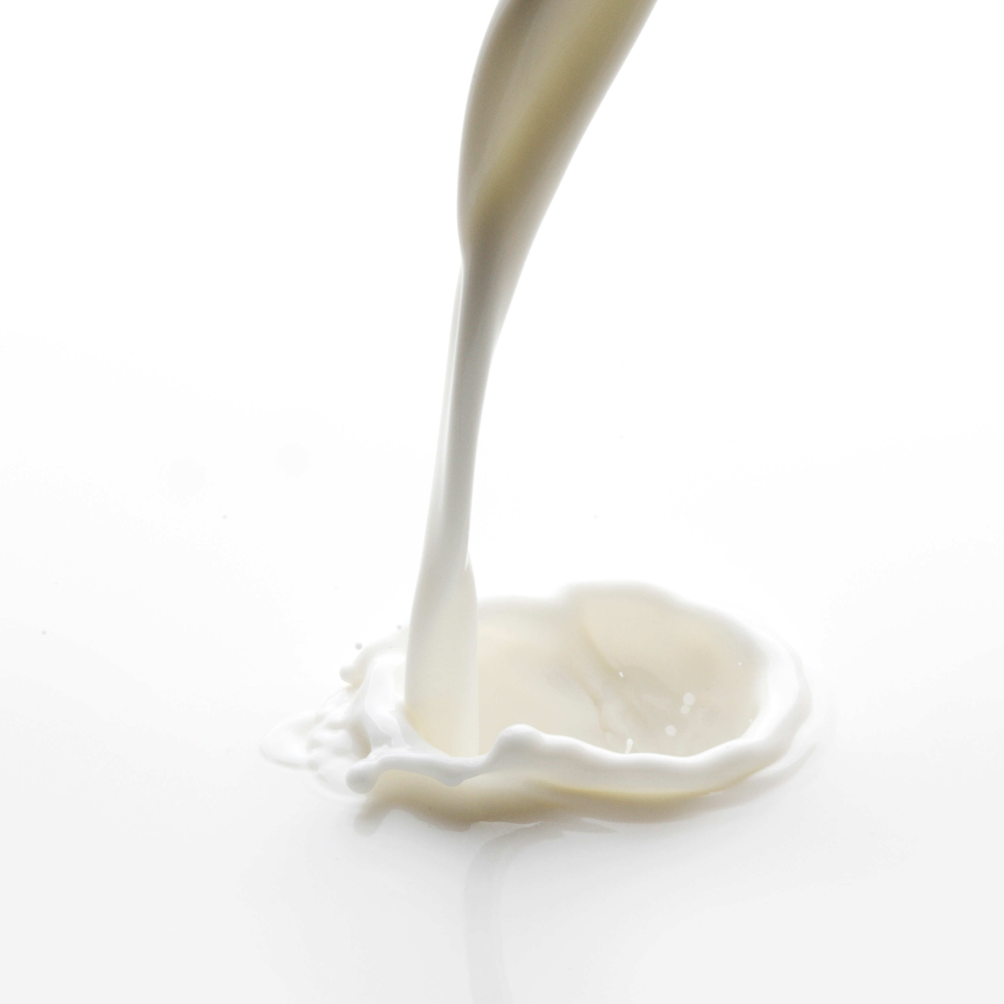 낙안목장 요구르트 무항생제 발효 요구르트 500ml 3병 그릭요거트 100g 2개 이미지 2