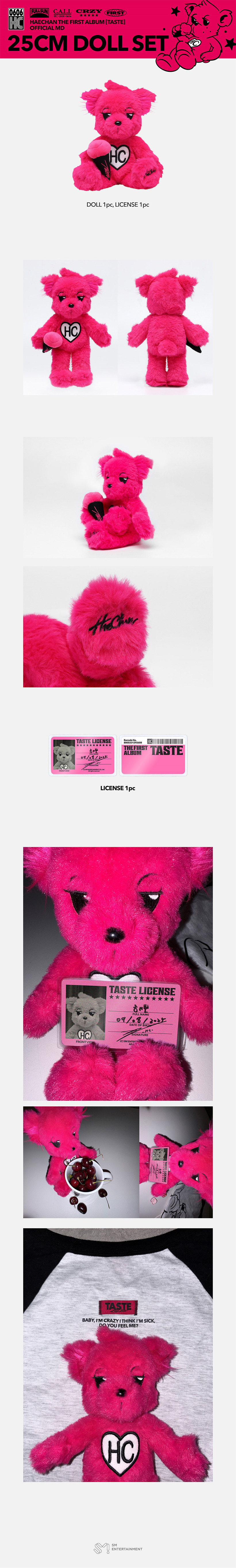 HAECHAN TASTE MD Doll Set — NCT DREAM