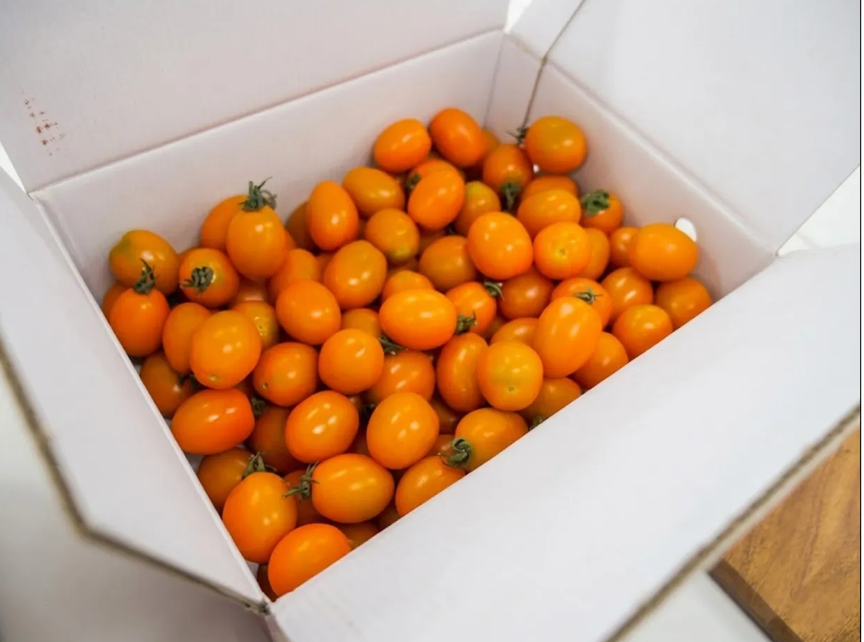 신선마켓 컬러 대추방울토마토 2kg - 상세 이미지 5