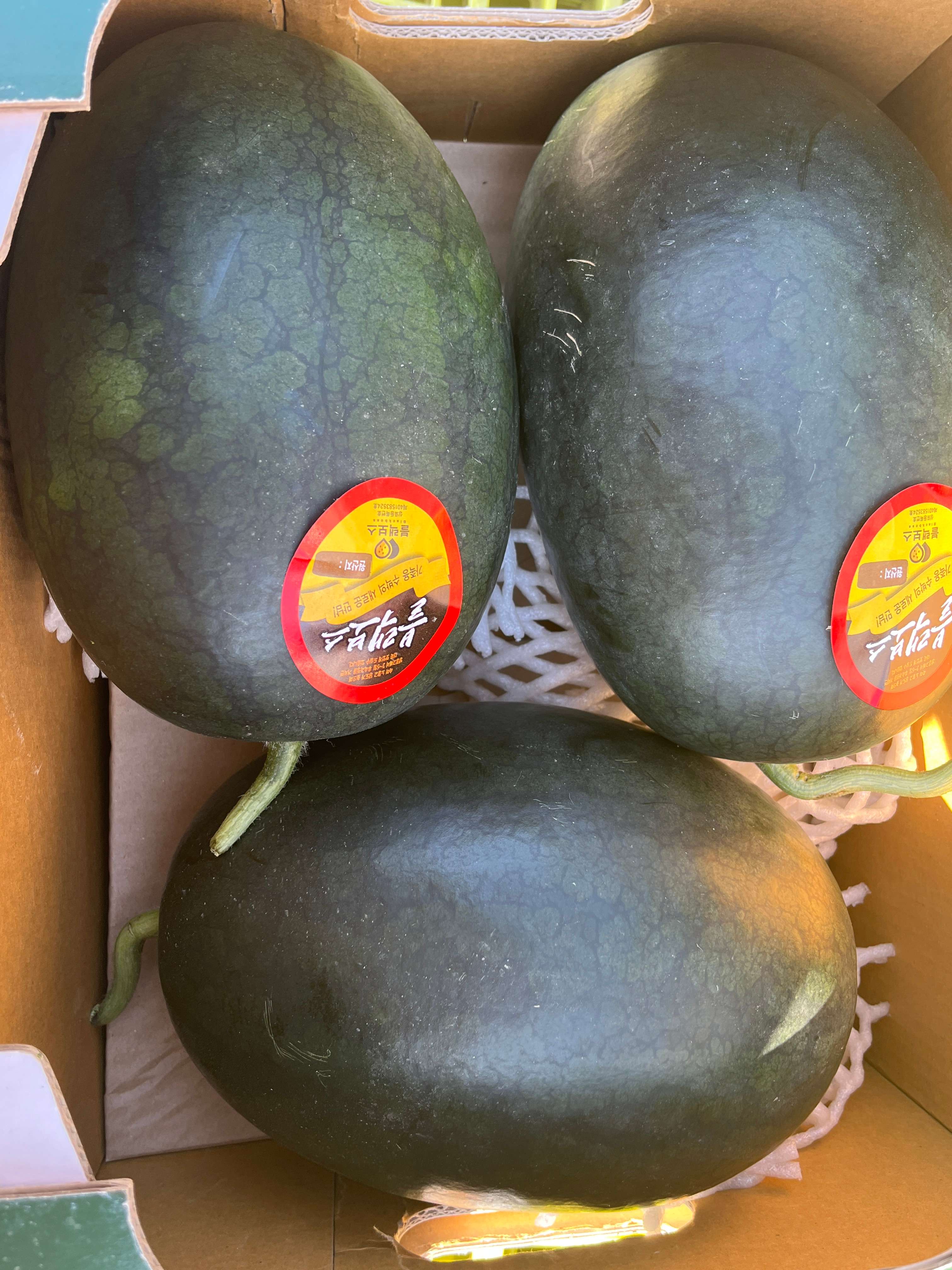 신선마켓 프리미엄 블랙 망고수박 2kg 1통 이미지 7