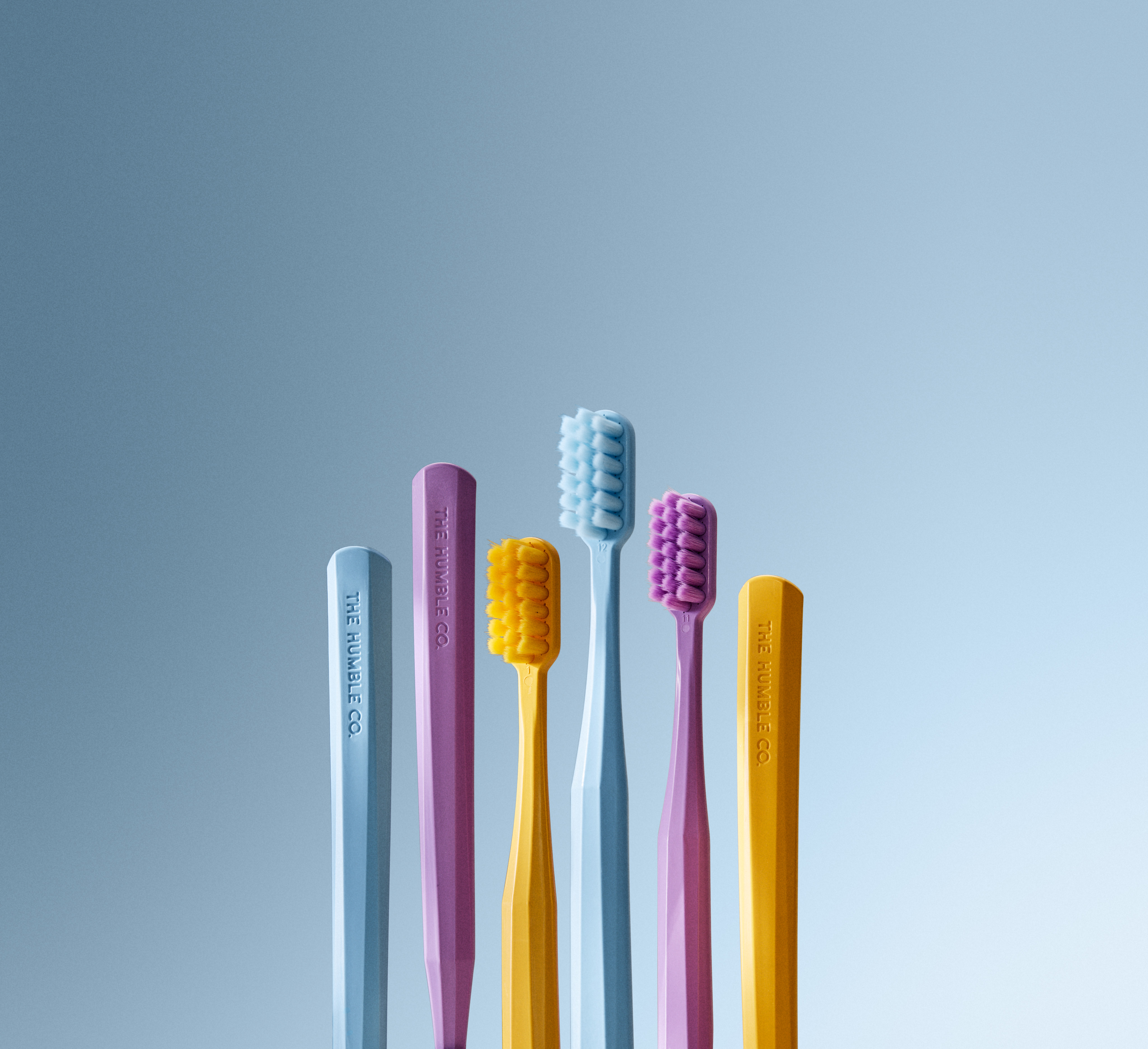 친환경 재질 PLA 100% 생분해  더험블코 험블브러쉬 비건 칫솔  PRO 7K bristles BPA프리 퍼플, 1개입, 1개 - 상세 이미지 4