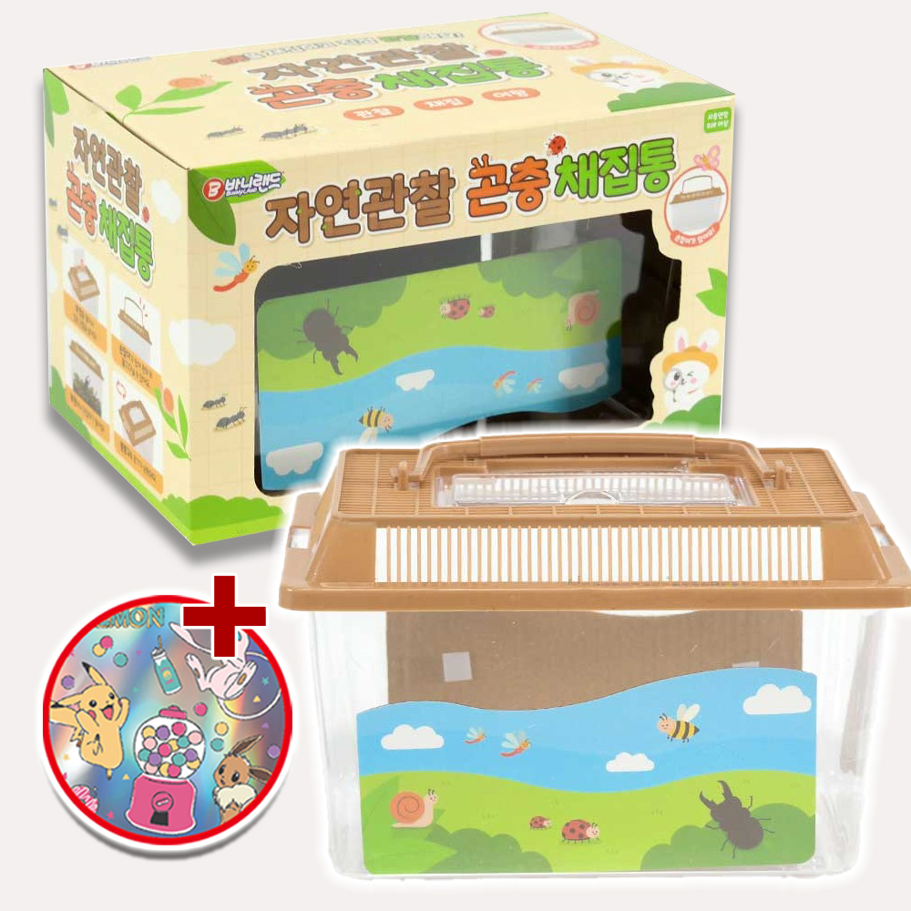 곤충채집 곤충채집통 자연관찰 스티커 세트 야외 유아 자연 탐험 선물 - 상품 이미지