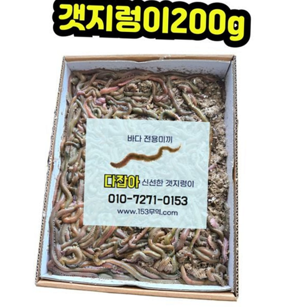 싱싱한 생물 갯지렁이 미끼용 바다 낚시 미끼 200g 원투 선상 - 상품 이미지
