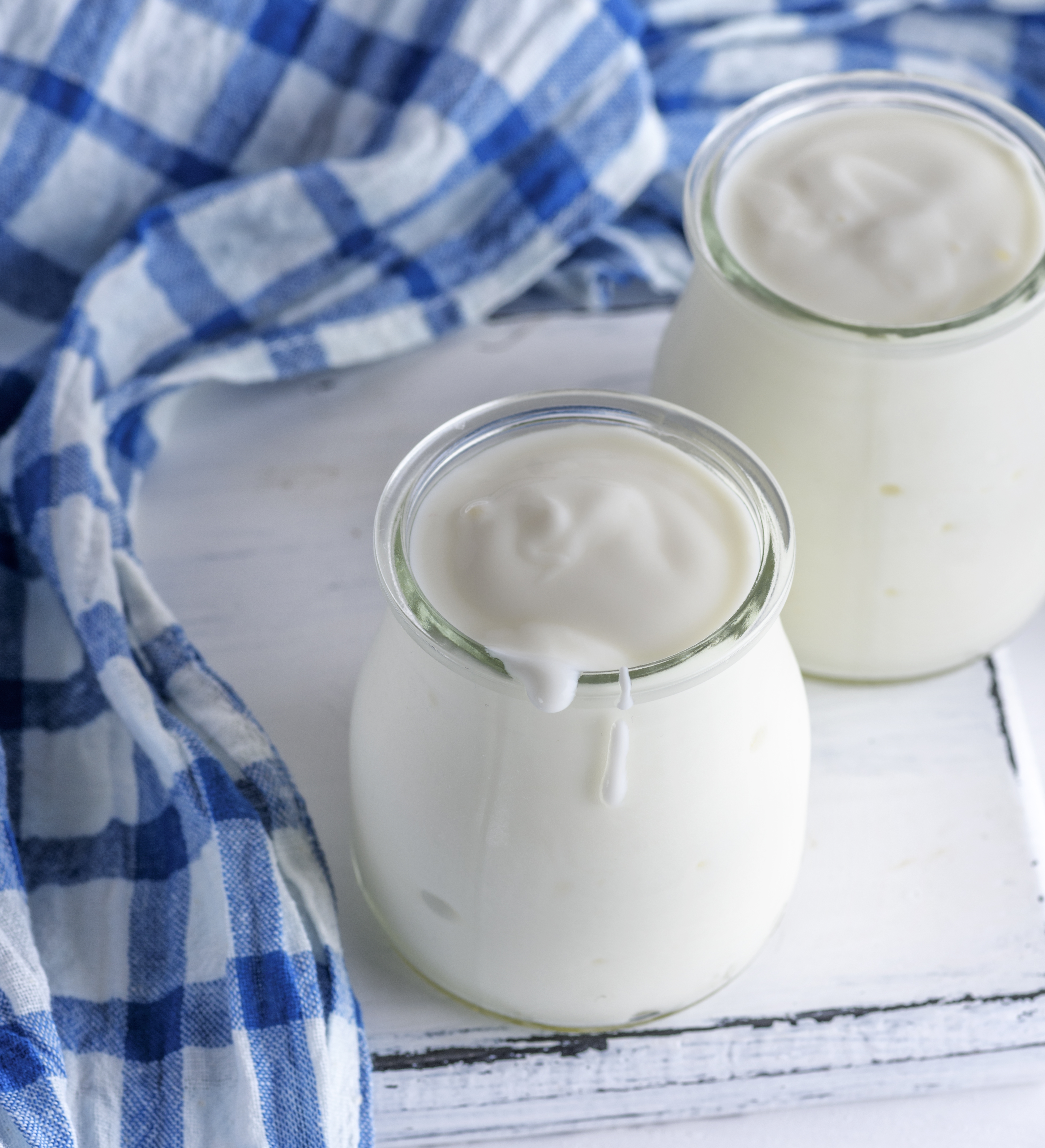 낙안목장 요구르트 무항생제 발효 요구르트 500ml 3병 그릭요거트 100g 2개 이미지 3